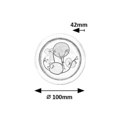 Lampa cu apăsare Rabalux Froggo 76071